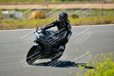 media/May-10-2024-2WTD (Fri) [[c88d7990af]]/Group B/Session 2-The Bowl/